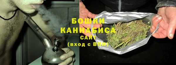гидра Покровск