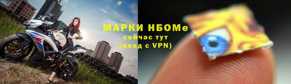 гидра Покровск