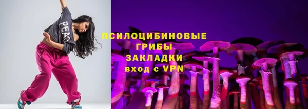 mdpv Протвино