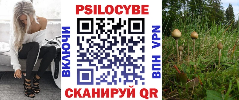 Галлюциногенные грибы прущие грибы  Купить  Каменка 